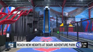 Celebrity High-flying fun for the whole family in Findlay Wealth