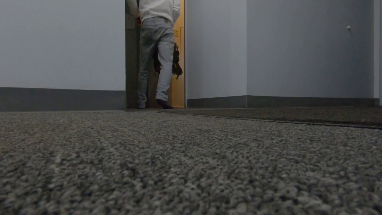 Snowy Commute by Foot 