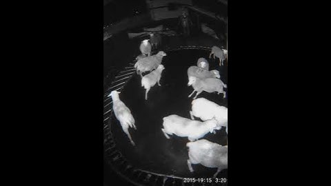 #comedyeffect #funny #amazing #aveeplayer #wow #trending #shorts #ytshorts #Viral#Explore#Foryou#Fyp