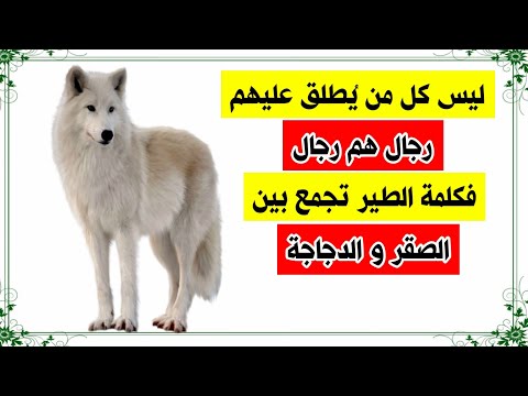حكم و أقوال رائعة جدا لاصحاب العقول الراقية