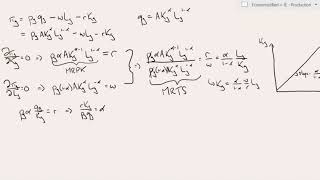 Firm Optimisation: Cobb-Douglas production function