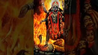 ka kariye maida ke dhire birthday song #dj #cricket #love #ekmotahathighumechala