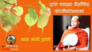 සැබෑ බෝධි පූජාව - පූජ්‍ය හසලක සීලවිමල ස්වාමින්වහන්සේ - Bana - Dharmadeshana