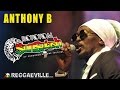 Anthony B & House of Riddim - Imagine @ Rototom Sunsplash 2014 [8/18/2014]