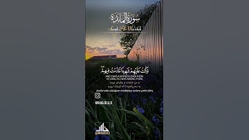 القارئ عامر السعيدي