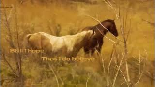 James Vincent McMorrow - Stay Cool [Visualizer]