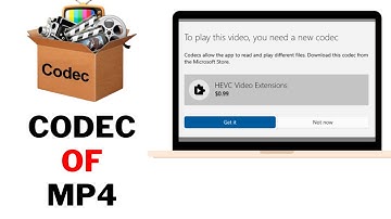 How To Change Video Codec To Mp4 - Video Codec Problem