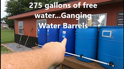 Ganging 5 Rain Barrels for HUNDREDS of GALLONS of Free Water