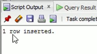 Celebrity Oracle--Data Manipulation (DML) Profile