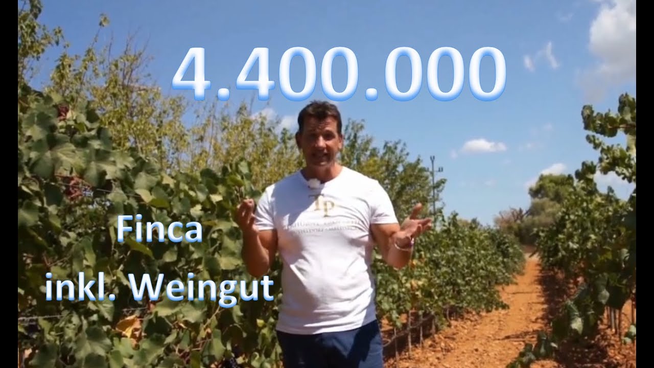 Finca mit Weingut und Vermietungslizenz - TERHÜRNE PROPERTIES