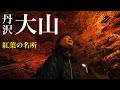 【丹沢大山】歩かない紅葉登山!? ケーブルカーで行く絶景ライトアップ2025！混雑＆見所をモデルが実演解説