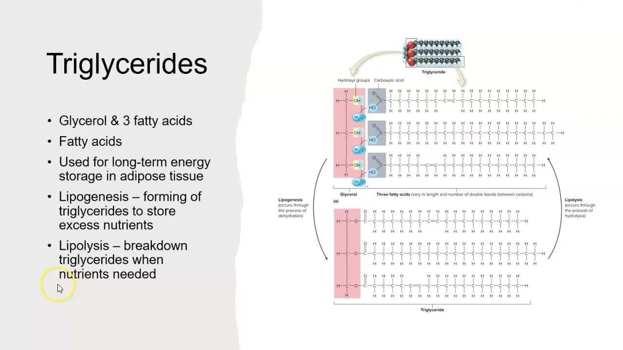 Macromolecules
