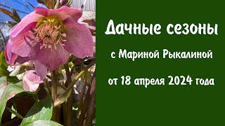 Дачные сезоны с Мариной Рыкалиной от 18 апреля 2024 года