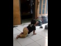 lagi apa azmi?