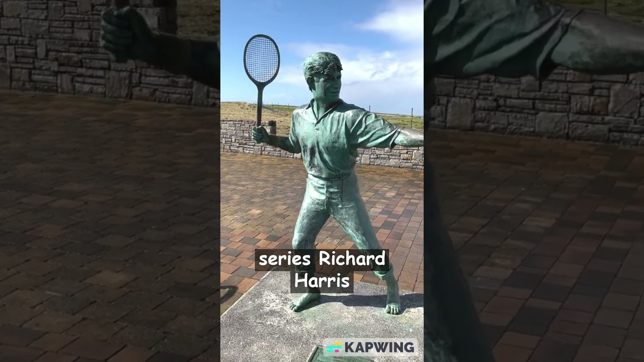 I found Dumbledore in a Small Irish Town