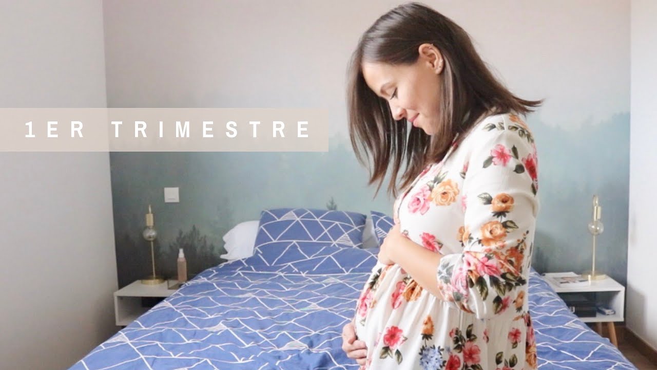 Mon 1er trimestre de grossesse (deuxième bébé)┆Alyssia