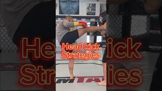 Head kick tips for better balance &amp; defense. Available on Jujiclub