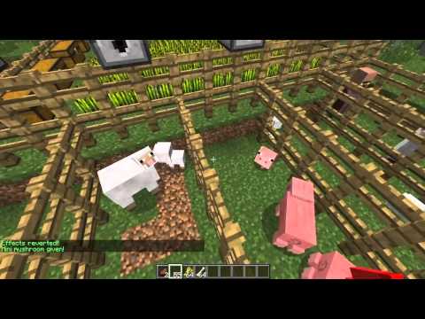 Little Pets Bukkit Plugin Spotlight / Tutorial