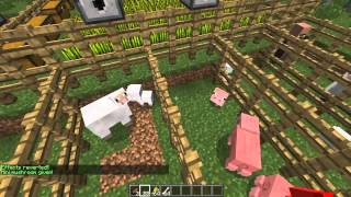 Celebrity Little Pets Bukkit Plugin Spotlight / Tutorial Net Worth