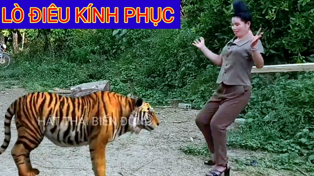 LÒ ĐIÊU NGẠC NHIÊN VỚI MÀN TRÌNH DIỄN CỦA 