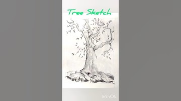Tree Pencil Sketch Drawing🌳 ✏️ #drawing #pencilsketch #tree #painting #trending #shots #viral #art