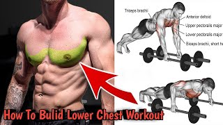 Exercise For Lower Chest | Chest Exercise With Dumbbells | Chest Workout With Dumbbells