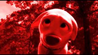 Bolt - Raining Sunshine For Sydney