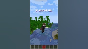 How to get Barrier Blocks in Minecraft 🚫 #shorts