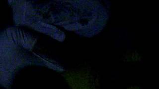 SANY0086.AVI