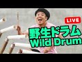 Wild Drum Live