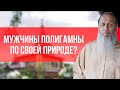 Мужчины полигамны по своей природе?