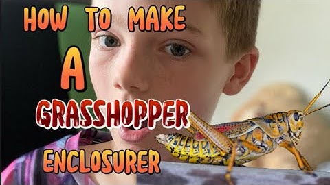 5 Easy steps how to make a DIY grasshopper enclosure.