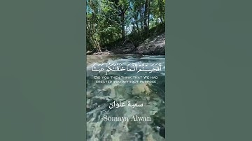 سورة المؤمنون الآية(115)||أَفَحَسِبْتُمْ أَنَّمَا خَلَقْنَاكُمْ عَبَثًا||القارئ إسلام صبحي #قرآن