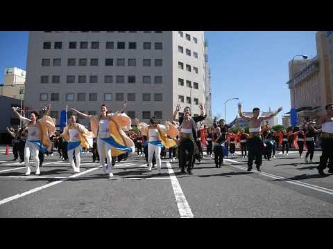 11 総踊り２ 安濃津よさこい2019 津駅前会場