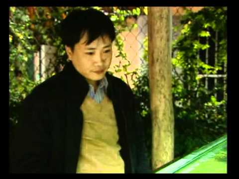 Video Café Thủy sinh - Nơi gặp gỡ của những người đam mê... - youtube