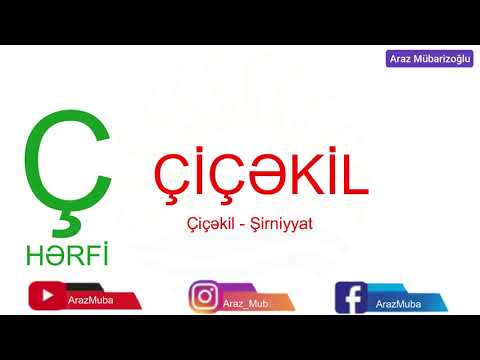 Video: Dili bilən olmaq nə deməkdir?