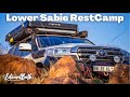 Lower Sabie Rest Camp | Sunset Dam and Prime Game Viewing | Episode 3