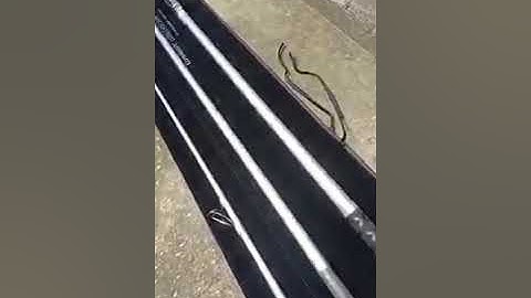 ✅Siêu phẩm Cần lục 3 khúc Long cast Surf