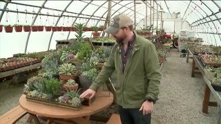 Midwest Cactus and Succulent Society