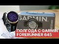 Полгода с Garmin Forerunner 645