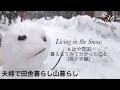 【田舎暮らし】#36 もはや雪国！暮らしてみて分かったこと(雪かき編)。