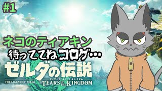 今再びのティアキン。今日も仲良くコログと遊ぼう、ね…