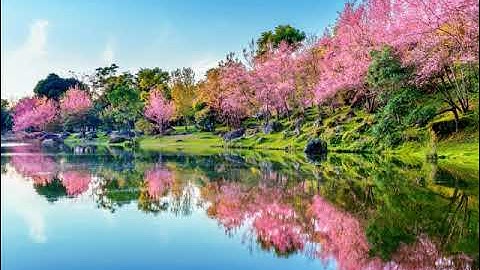 surat al ahzab hassan salih تجويد رائع لسورة الاحزاب بصوت الشيخ حسن صالح