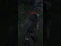 Red Dead Redemption 2 funny moments 🤣 #reddeadredemtion2 #streamer #twitch #ps5 #funnymoments