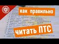 Как правильно читать ПТС Паспорт Транспортного Средства  (Советы от РДМ-Импорт)