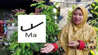 Cara Mudah Mengenal dan Belajar Sejarah Aksara dan Bahasa Lampung #bahasalampung #aksaralampung