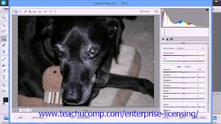 Adobe Photoshop Elements 12 Tutorial Edit Modes Employee Group Training  3.7
