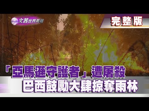 【完整版】2019.08.31《文茜世界周報》「亞馬遜守護者」遭屠殺　巴西鼓勵大肆掠奪雨林|Sisy's World News