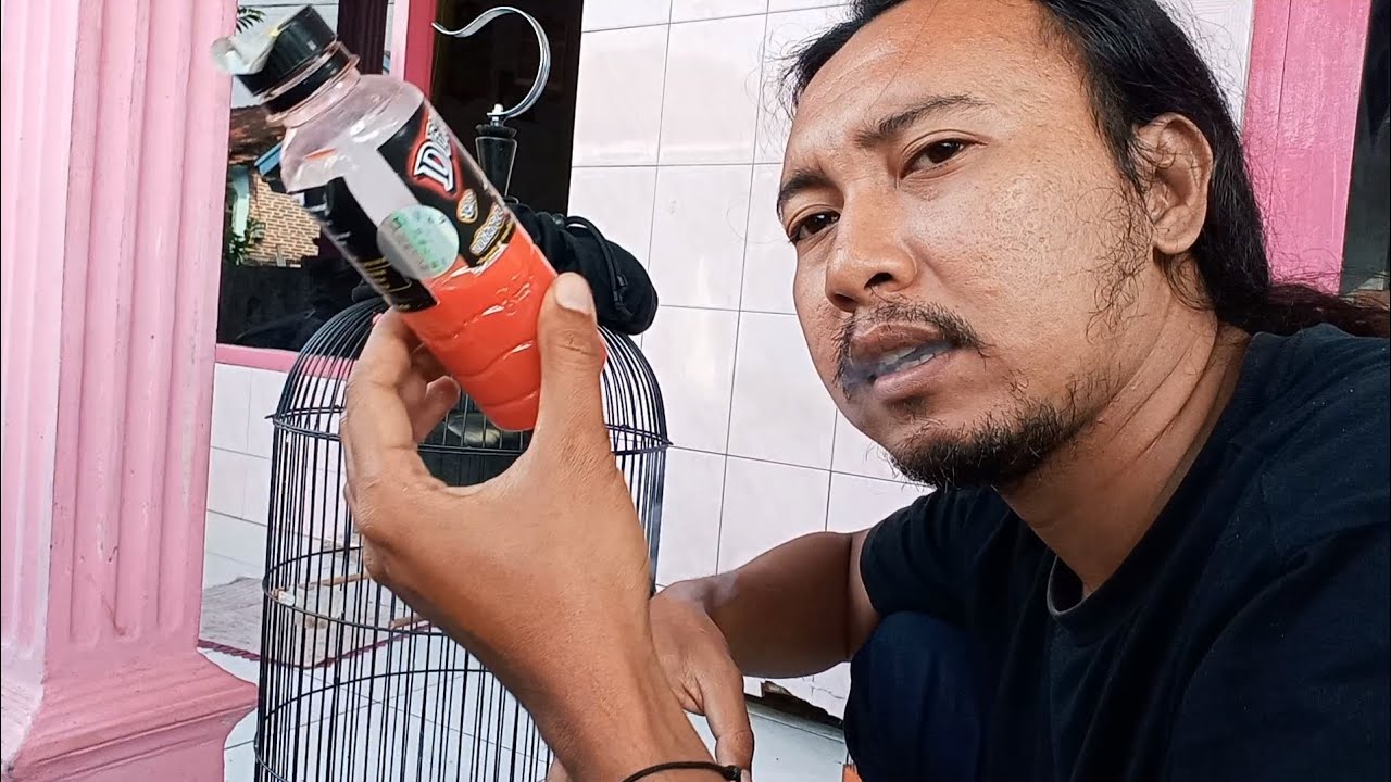 Ya..‼️Begini cara saya cetak sogon trotol mental fighter☕️☕️