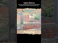পূর্বাচল বাউন্ডারি ওয়াল নির্মাণ। পূর্বাচল নতুন শহর #trending #ahamedali #shorts